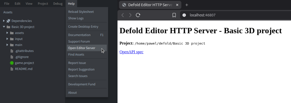 The local editor server home page