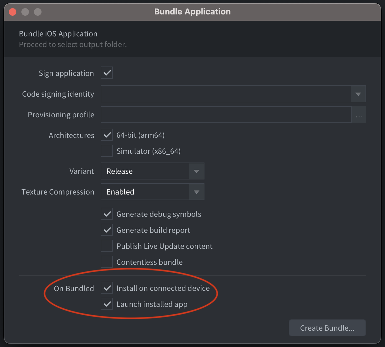 Install and launch iOS bundle